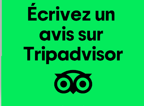 logo Tripadvisor 